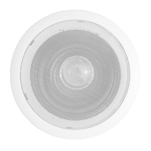 Ceiling Speaker